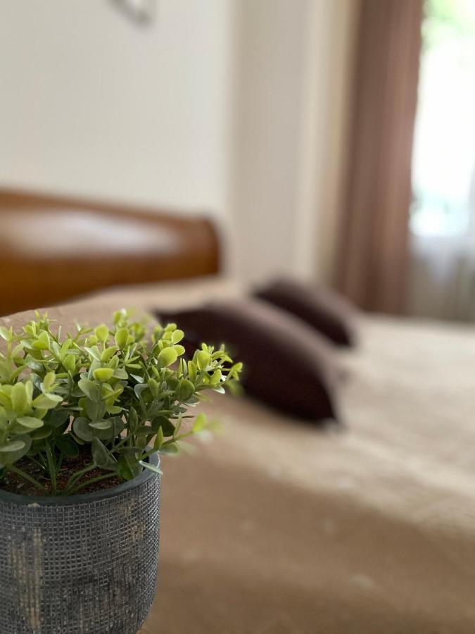 Family Apartment ลวีฟ ภายนอก รูปภาพ